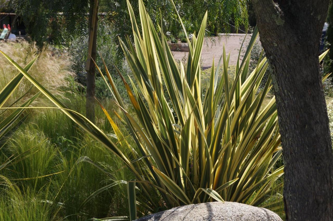 Les Jardins De Santa Giulia - Charmante Chambre D'Hote Porto-Vecchio  Bagian luar foto